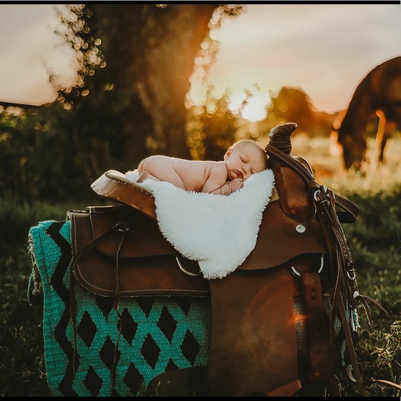 Meet your Posher, Jenny - Picture 4 of 8